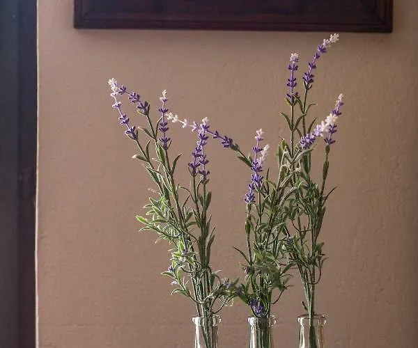 So Hvar So Good! Spacious With Terrace Daire *