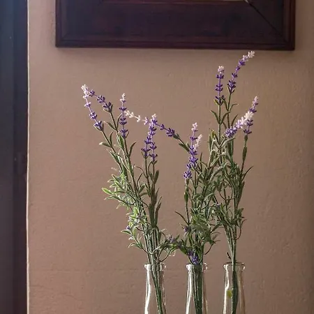 So Hvar So Good! Spacious With Terrace 公寓 *